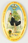 Cawston Ostrich Pocket Mirror | Los Angeles, California