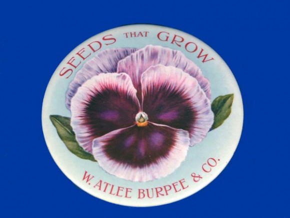 W. Atlee Burpee Pocket Mirror